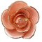 Blush Pink